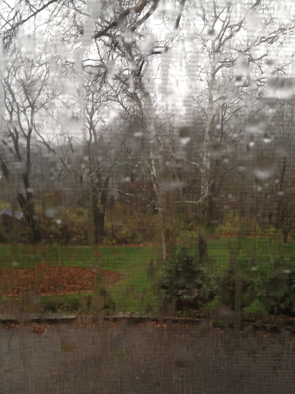 Rain. In Ohio. In&nbsp;November.